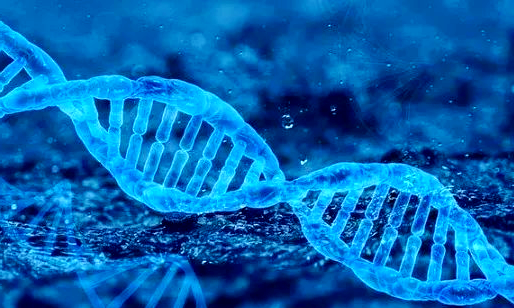 生命科学是交叉学科吗,生命科学是交叉学科吗知乎 生命科学是交叉学科吗,生命科学是交叉学科吗知乎