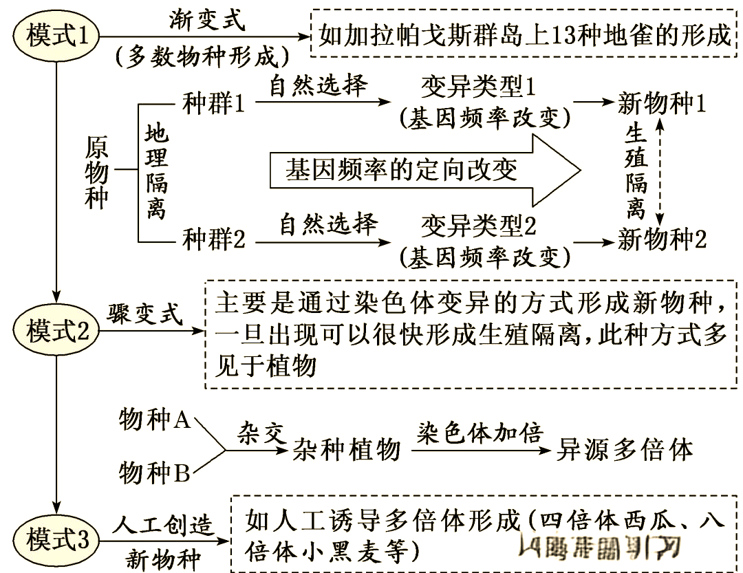 遗传学与其他生命科学,遗传学与基因组医学pdf 遗传学与其他生命科学,遗传学与基因组医学pdf