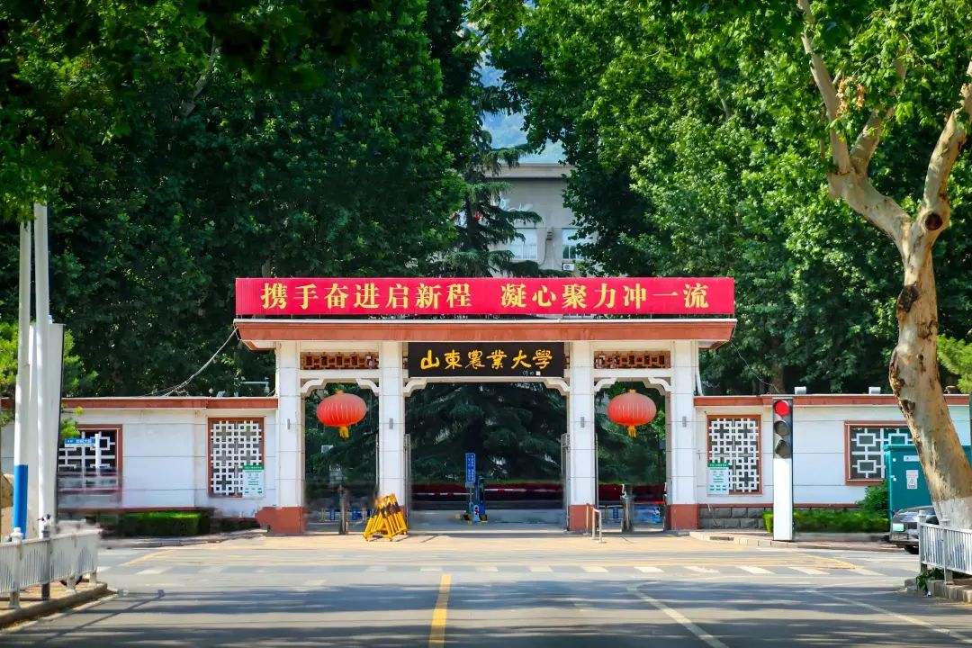 山东农大生命科学学院,山东农大生物技术专业强项 山东农大生命科学学院,山东农大生物技术专业强项