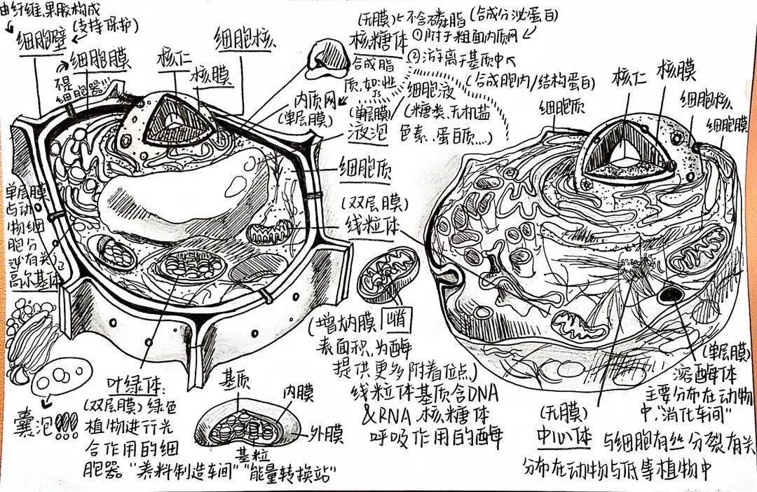 物理世界的结构,物理世界的结构思维导图