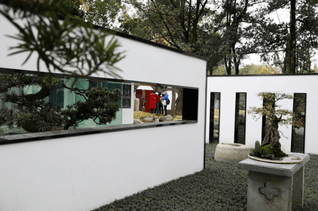 天文科普景墙,中国科学院天文科普联盟