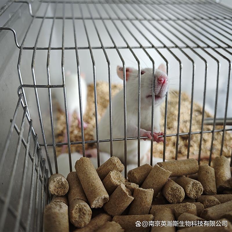 动物的生命科学研究,研究动物的生态位需要研究什么 动物的生命科学研究,研究动物的生态位需要研究什么
