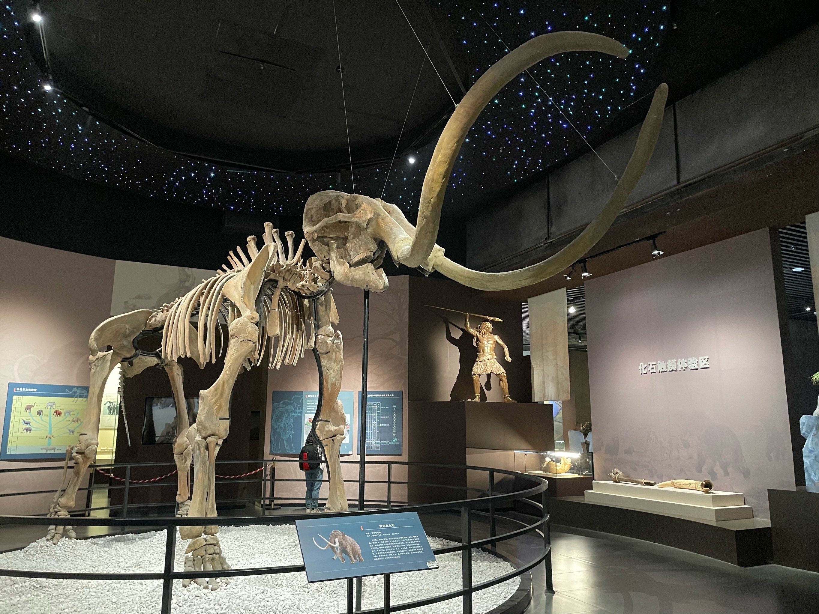 包含生命科学博物馆guanhougan的词条 包含生命科学博物馆guanhougan的词条