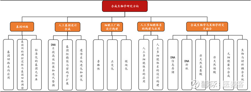 生命科学发展的现状,生命科学对人类发展的意义