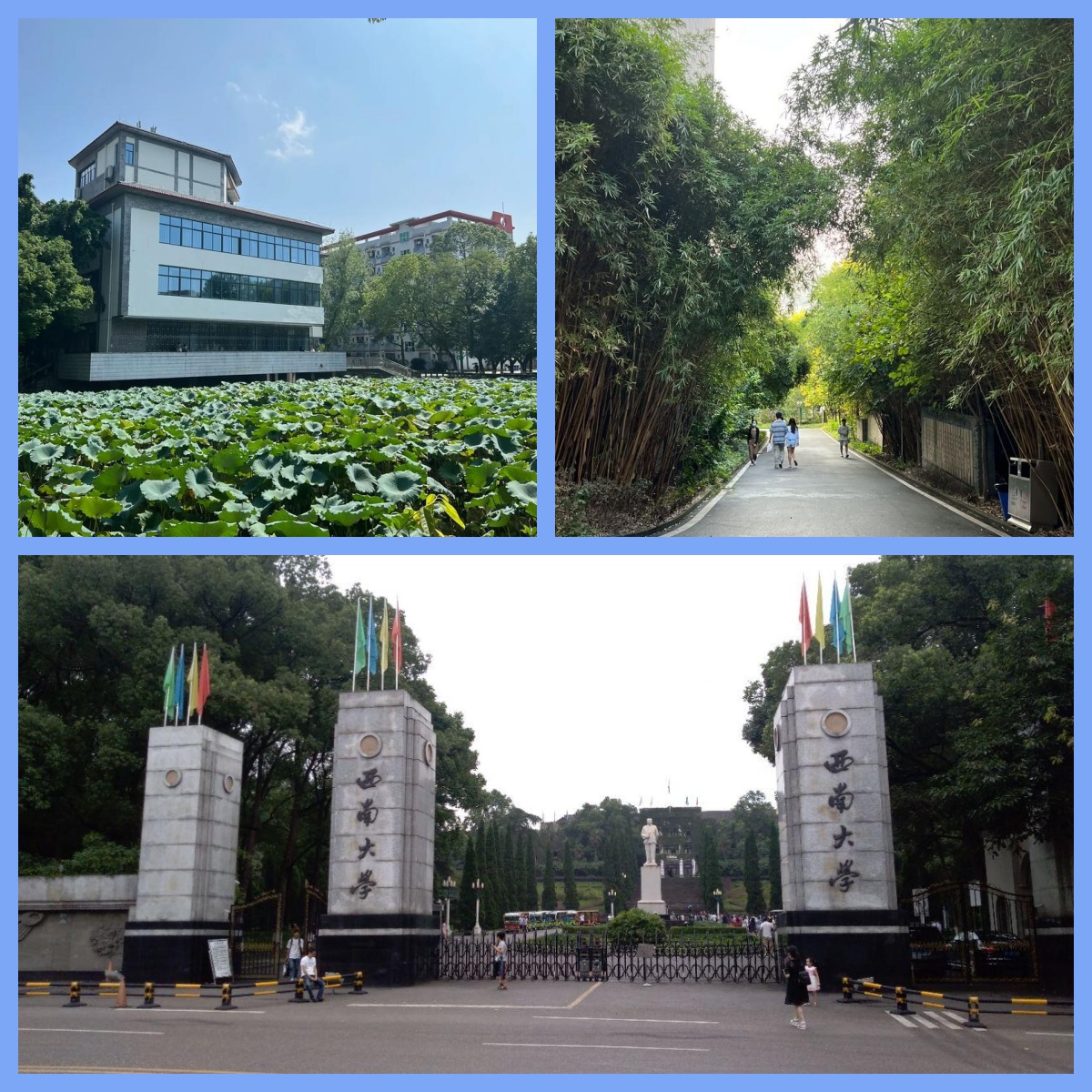 西南大学地球科学,西南大学地科院获得多少国自然基金 西南大学地球科学,西南大学地科院获得多少国自然基金