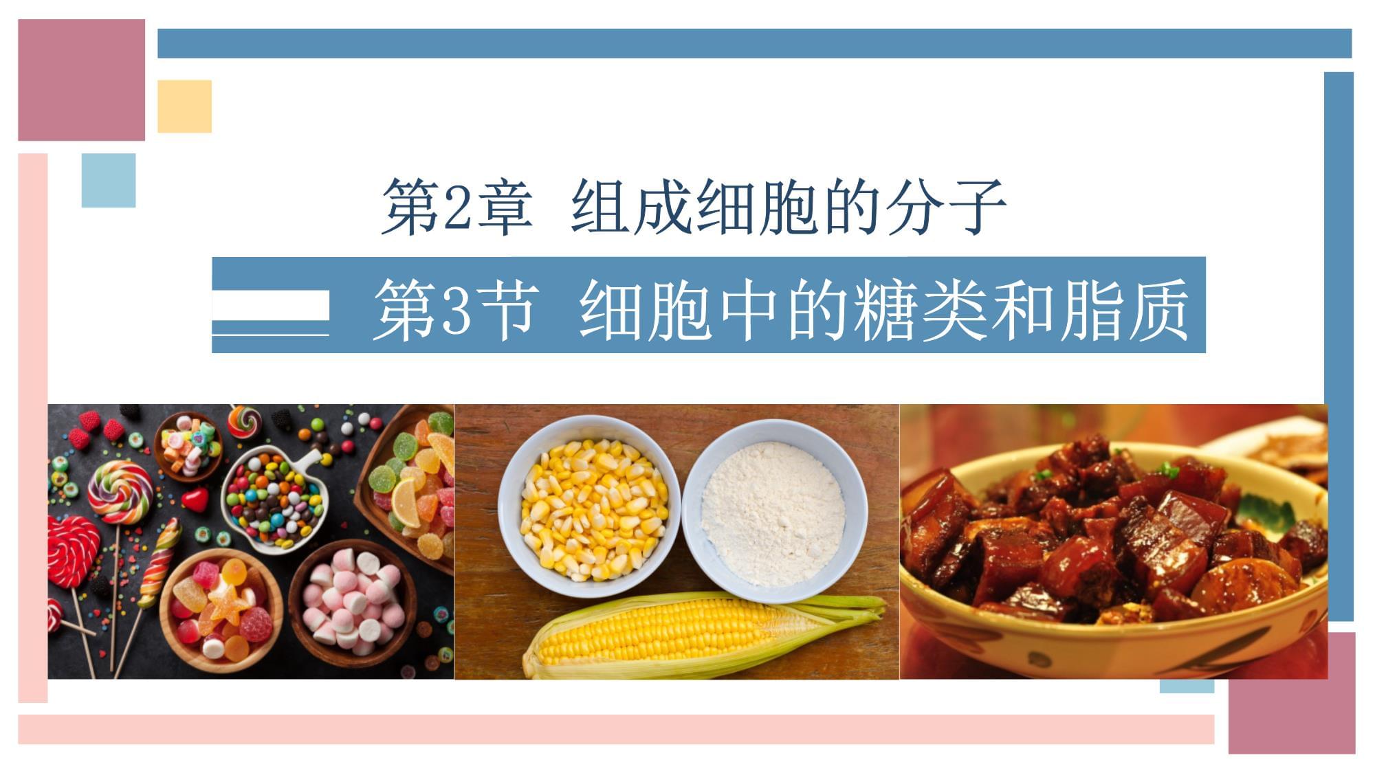上海高一生命科学网课,上海高考生命科学等级考刷题 上海高一生命科学网课,上海高考生命科学等级考刷题