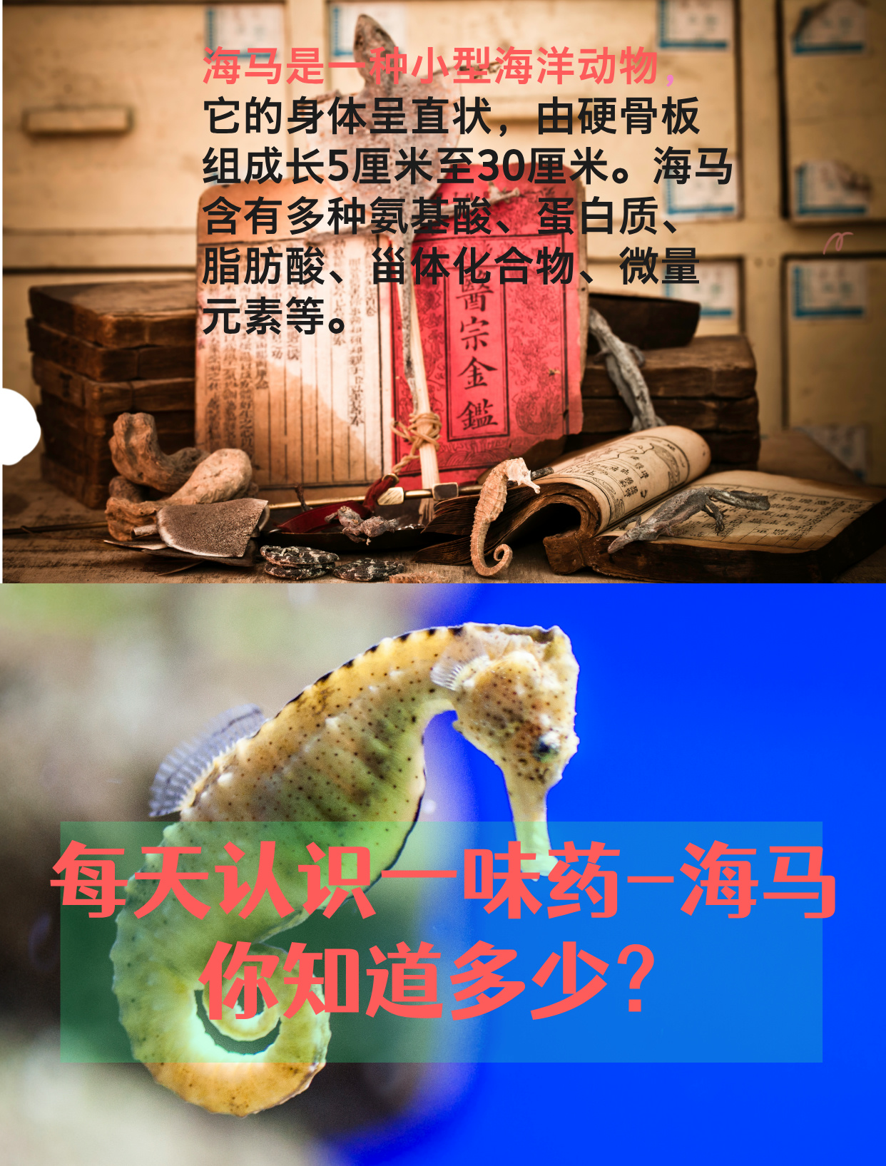 怎样了解生命科学,生命科学知识有哪些 怎样了解生命科学,生命科学知识有哪些