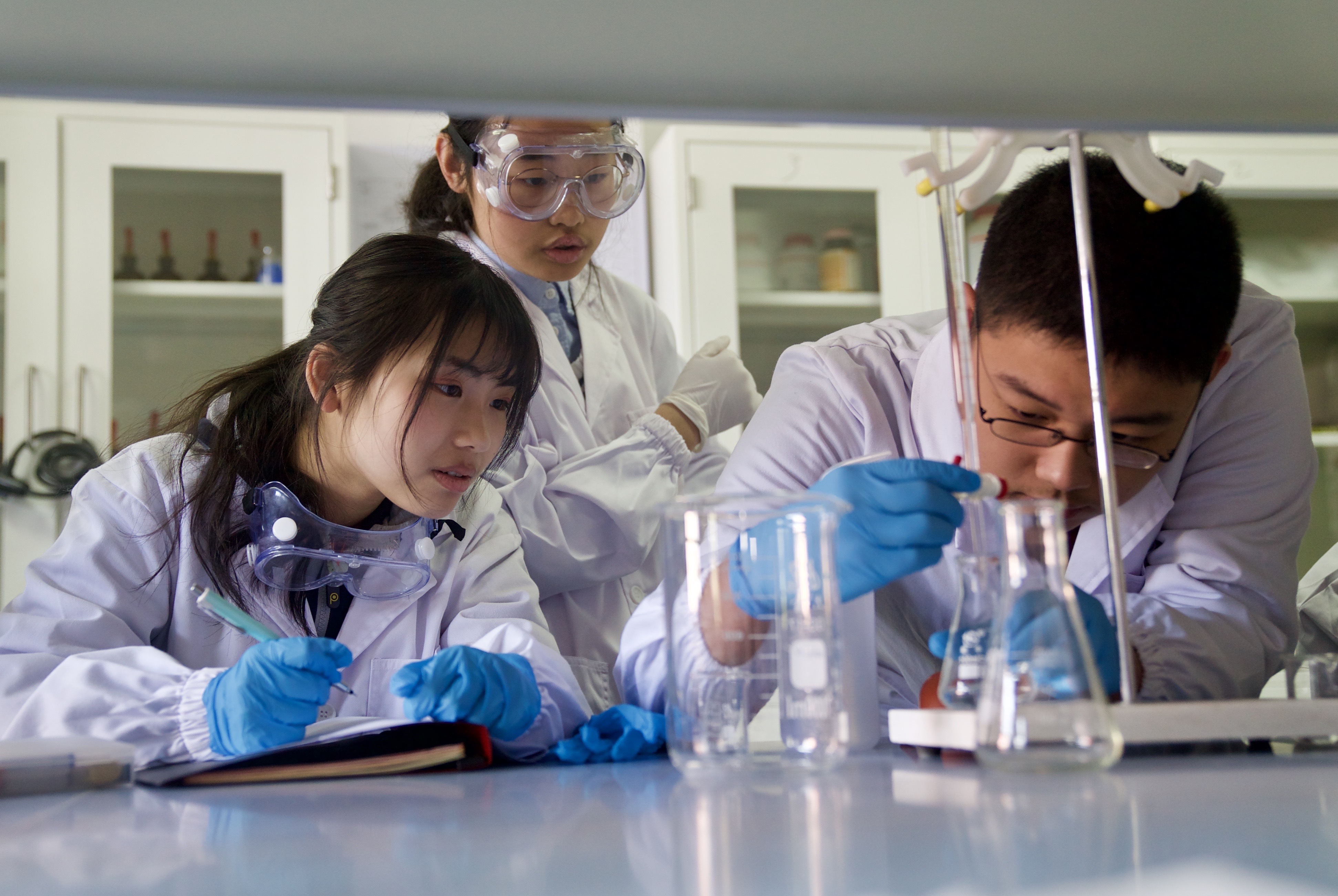物质科学D生命科学,生命科学生物科学区别 物质科学D生命科学,生命科学生物科学区别