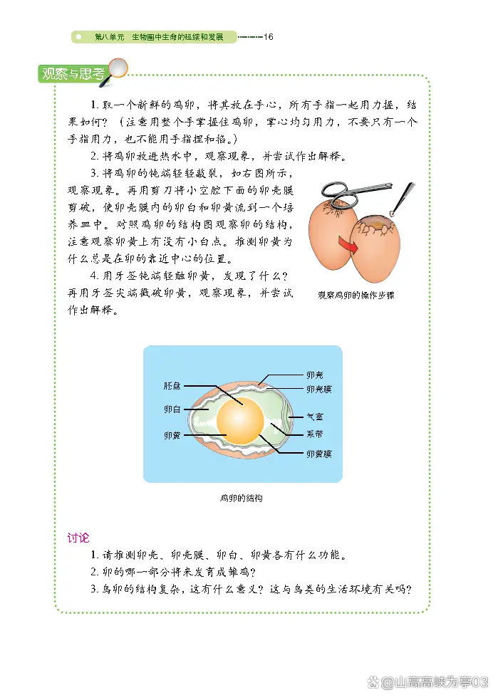 初二下生命科学书本,初二下册生物书电子版沪科版