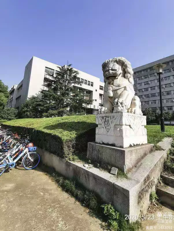 生命科学院红凌,生命科学院生物科学保研清北