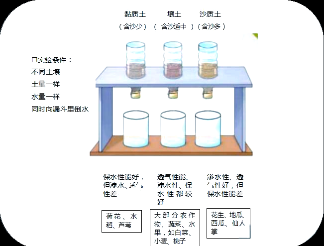 地球科学实验演示动画,地球科学观后感200字