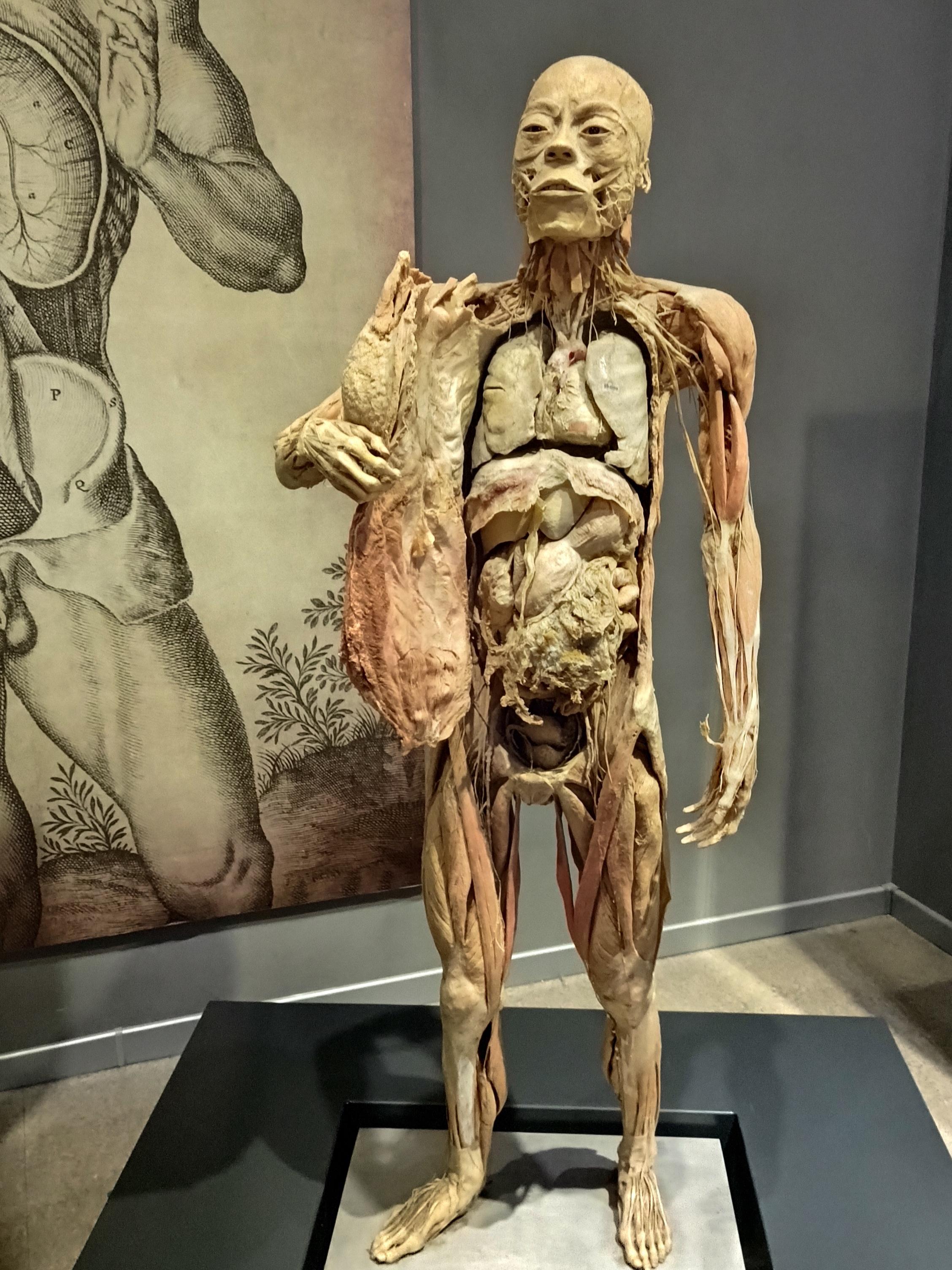 吕梁人体生命科学馆,人体生命科学馆观后感