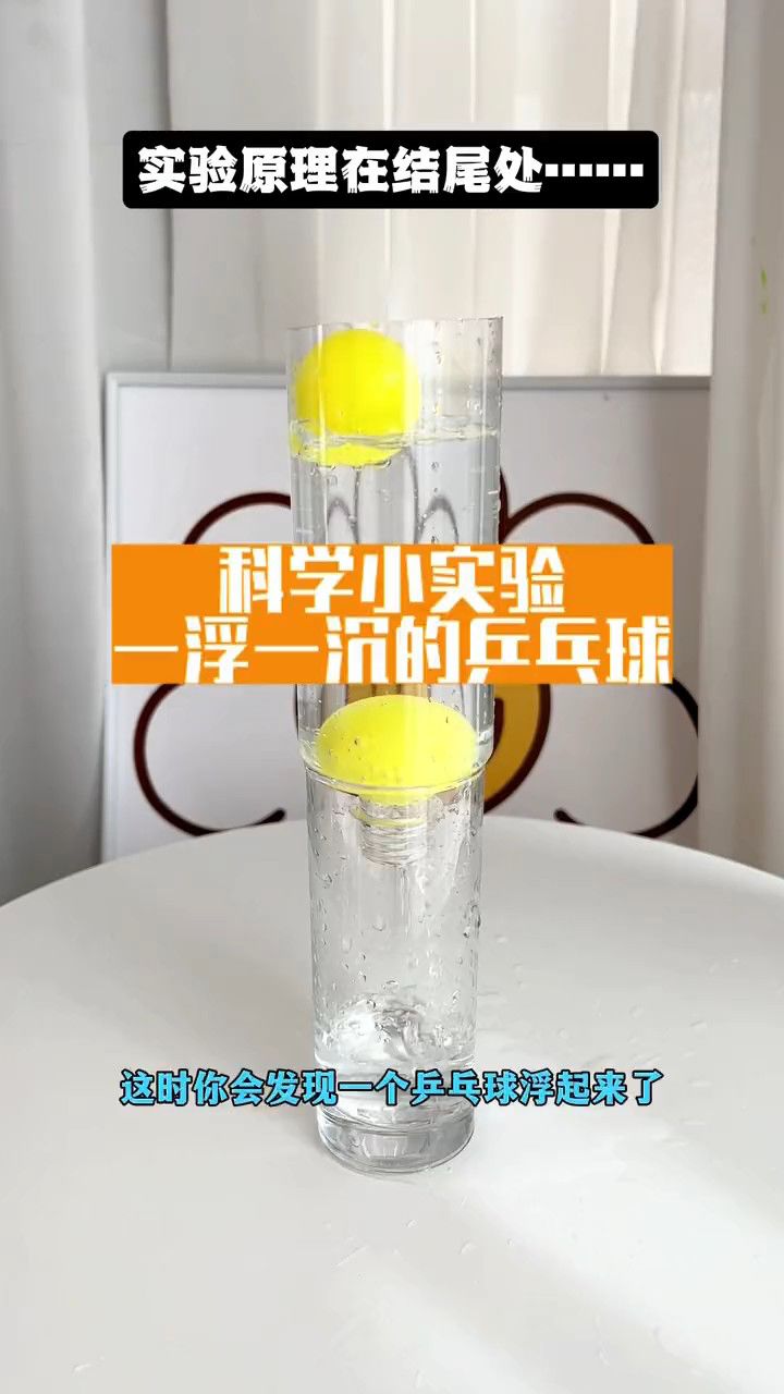 生命科学实验一年级,生命科学实验技能竞赛2026