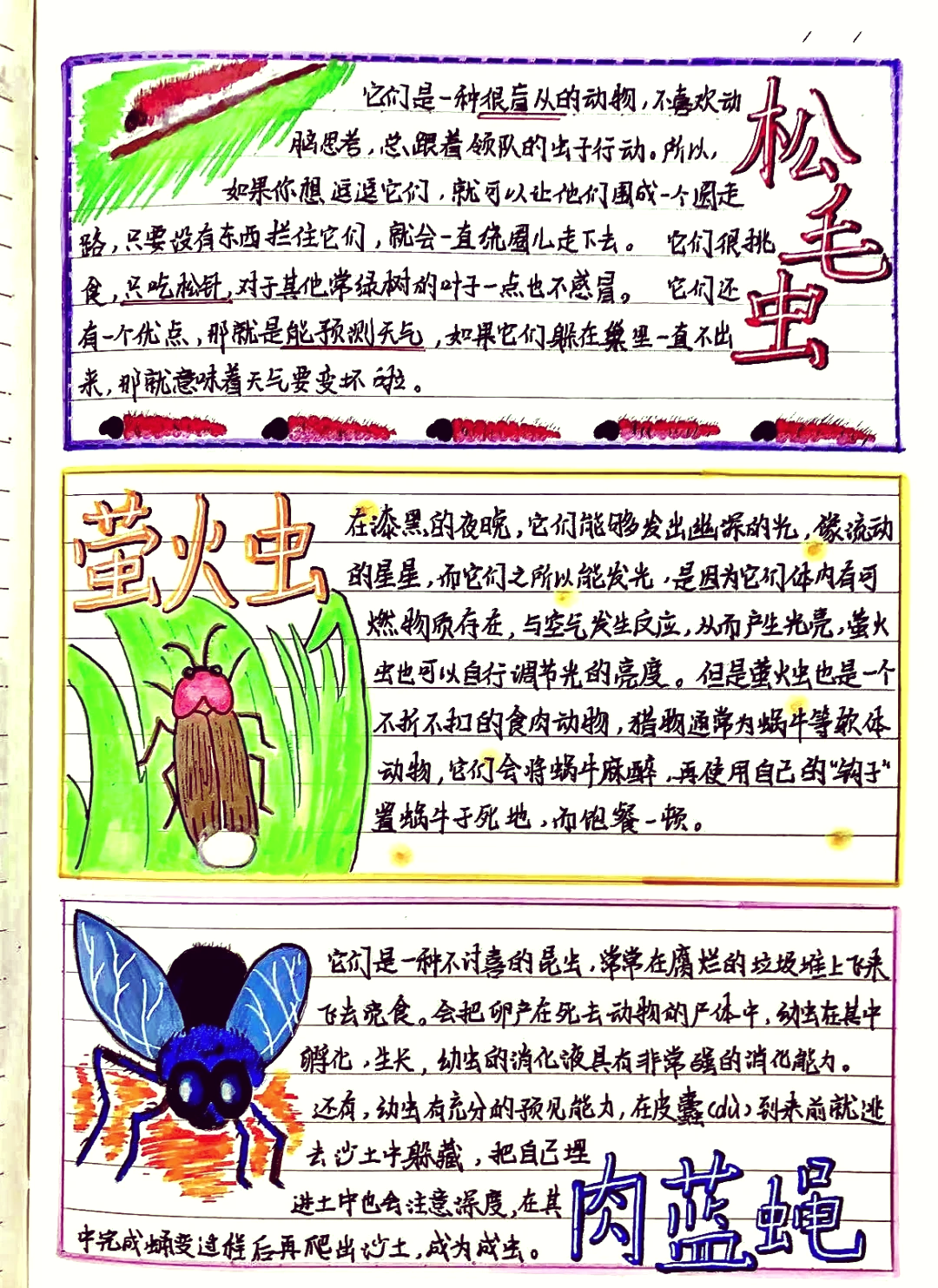 二年级生命科学百科,二年级科学动植物与人类的关系图 二年级生命科学百科,二年级科学动植物与人类的关系图