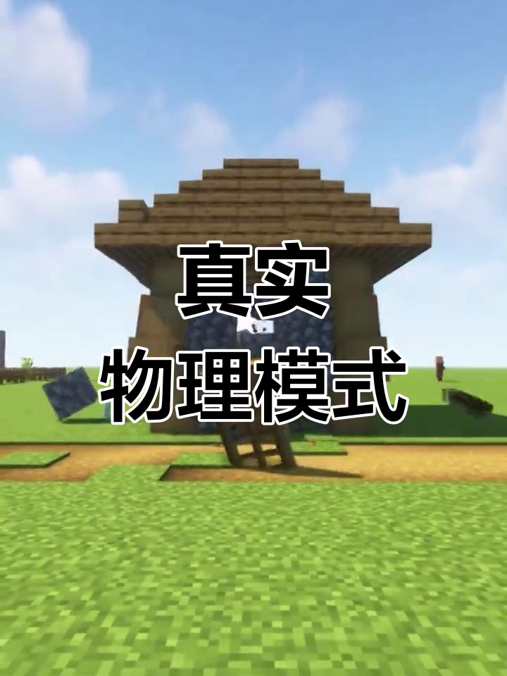 有物理的我的世界下载,我的世界真实的物理下载