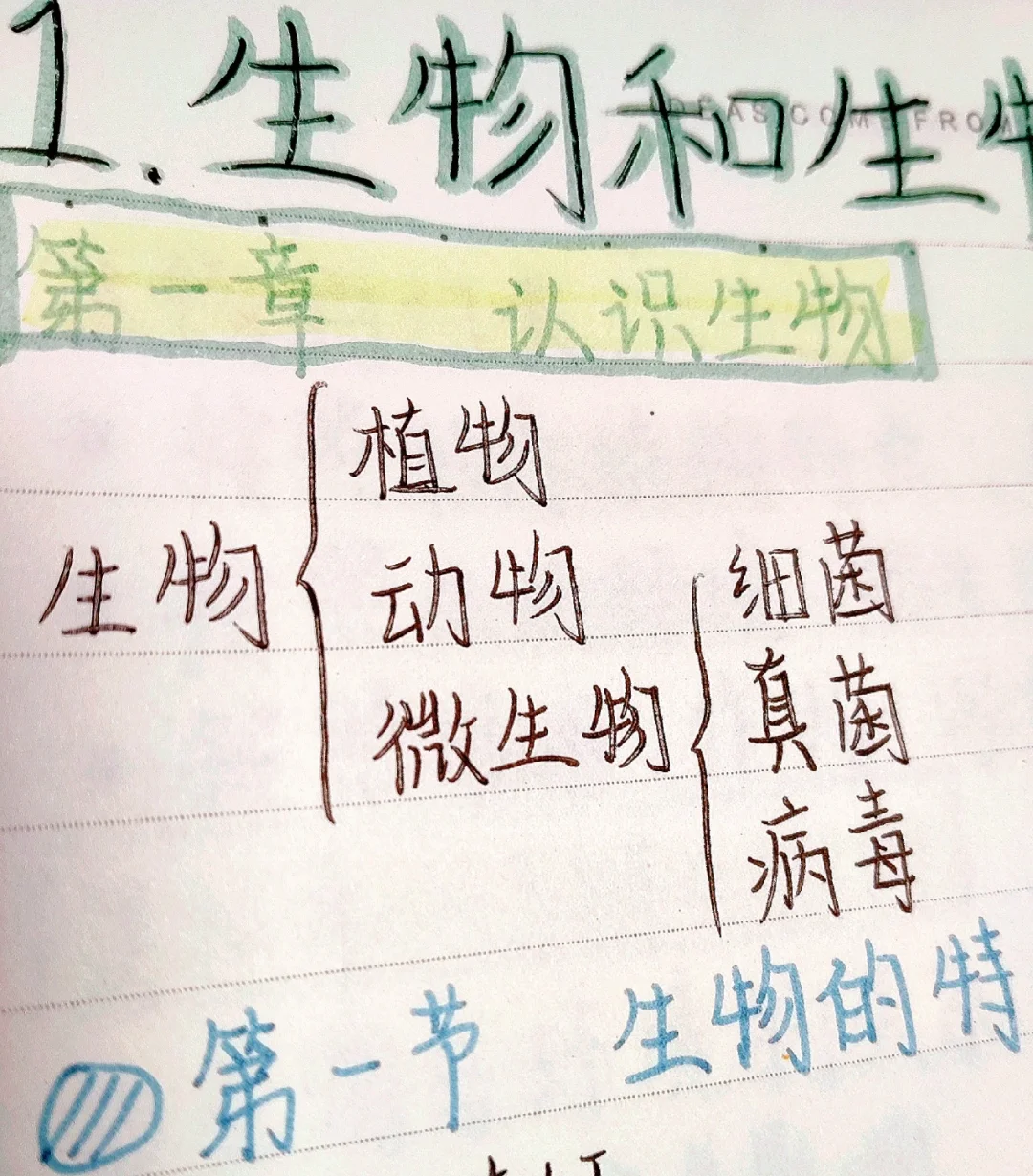 生命科学八上课堂笔记,八下生物第一章第一节笔记 生命科学八上课堂笔记,八下生物第一章第一节笔记