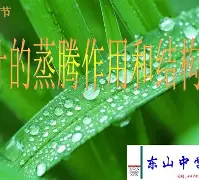 叶子解说世界物理试卷,叶子解说世界为什么不更新了 叶子解说世界物理试卷,叶子解说世界为什么不更新了