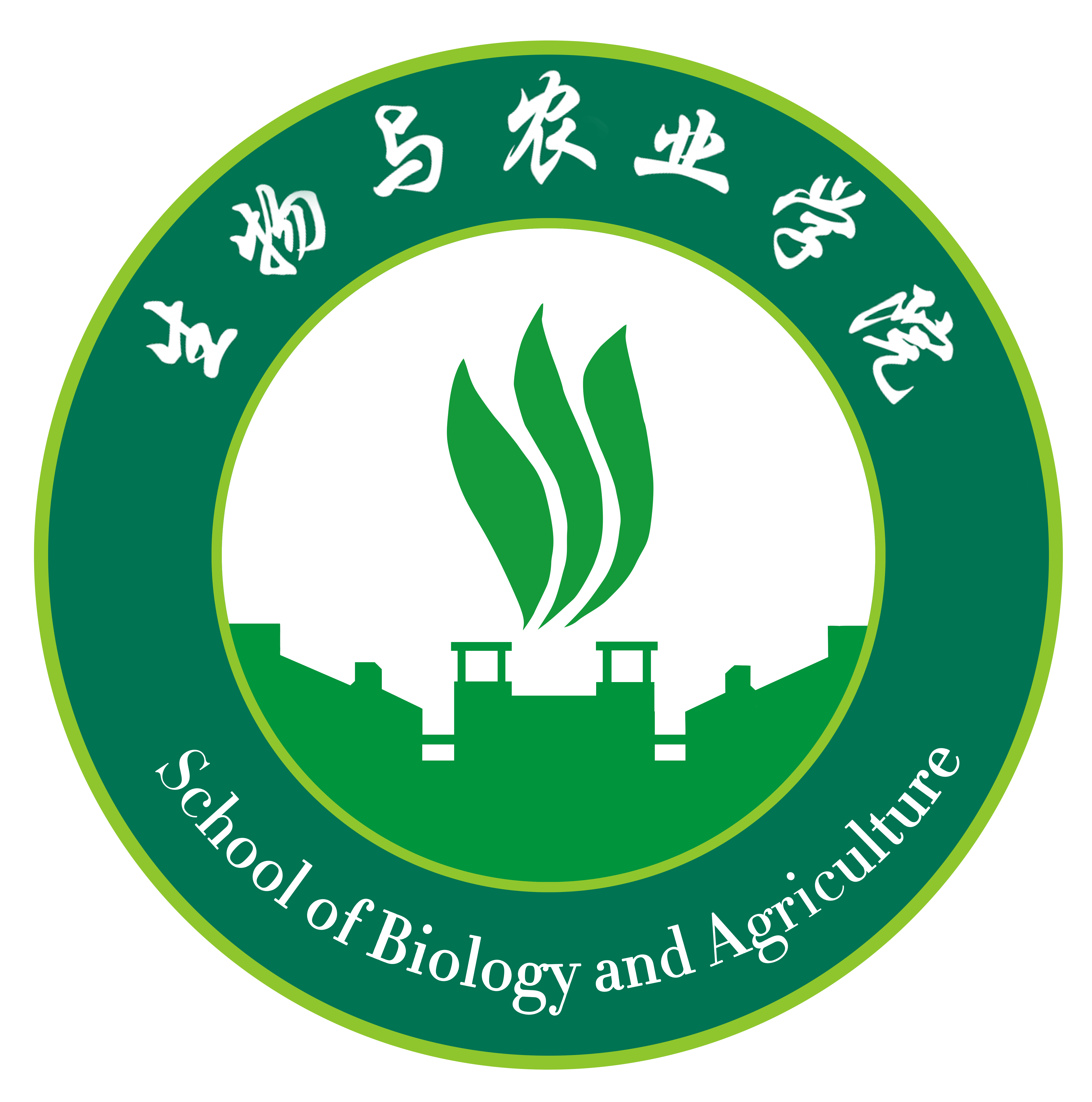 微创生命科学学院,微创生命科技有限公司