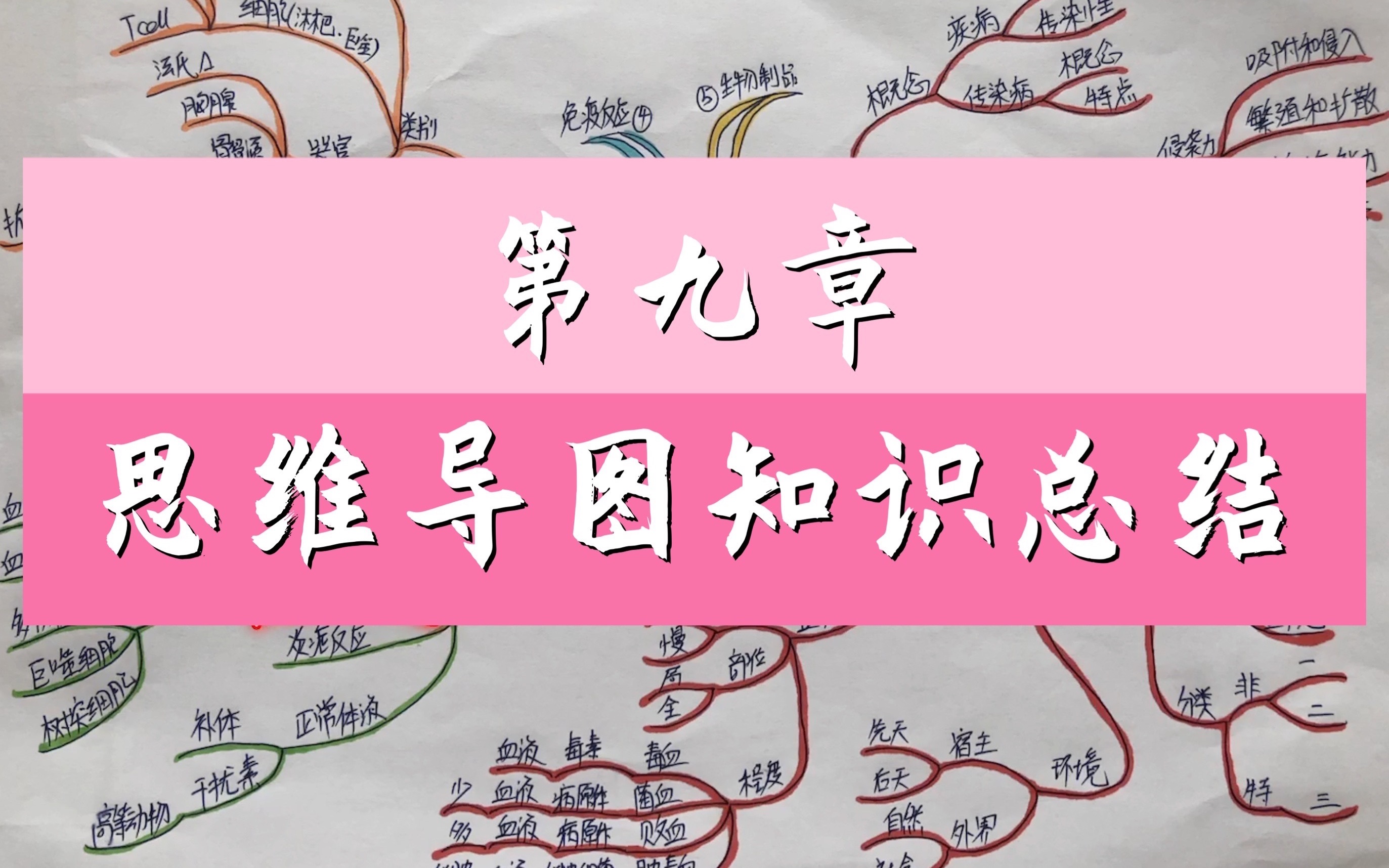 生命科学绘图入门教程,生命科学插图从入门到精通