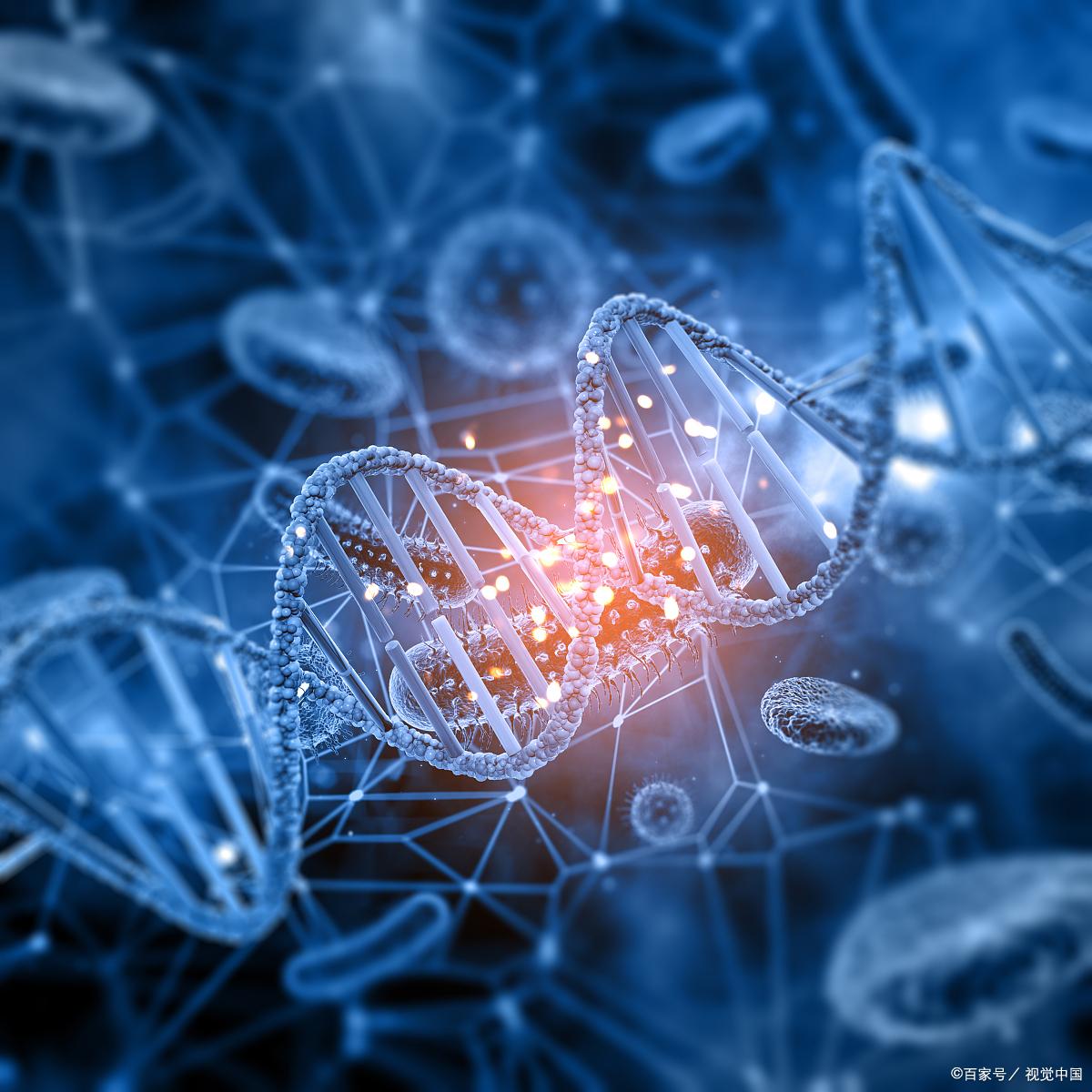 有关生命科学的素材,有关生命科学的素材有哪些 有关生命科学的素材,有关生命科学的素材有哪些