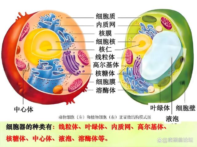 地球科学发现总结范文,地球科学发现总结范文大全 地球科学发现总结范文,地球科学发现总结范文大全
