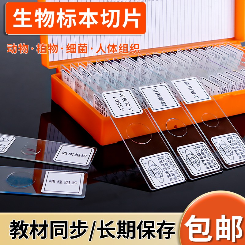 生命科学实验教具,生命科学实验技能竞赛2026 生命科学实验教具,生命科学实验技能竞赛2026