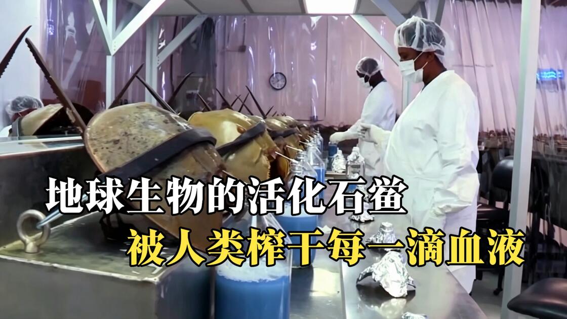 地球科学的深水化石,地球科学的深水化石是什么 地球科学的深水化石,地球科学的深水化石是什么