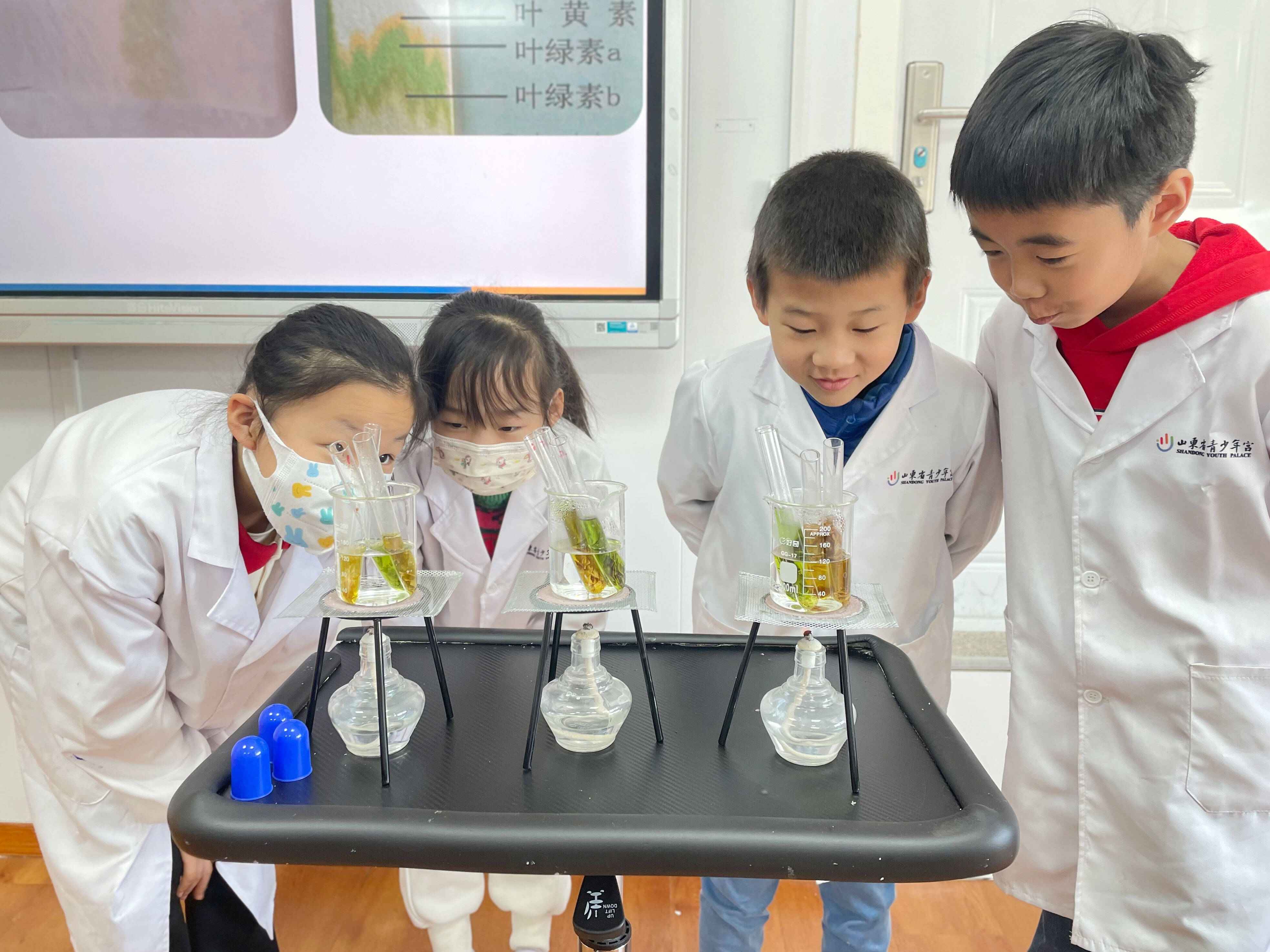 生命科学创新训练营,生命科学与创新创业大楼