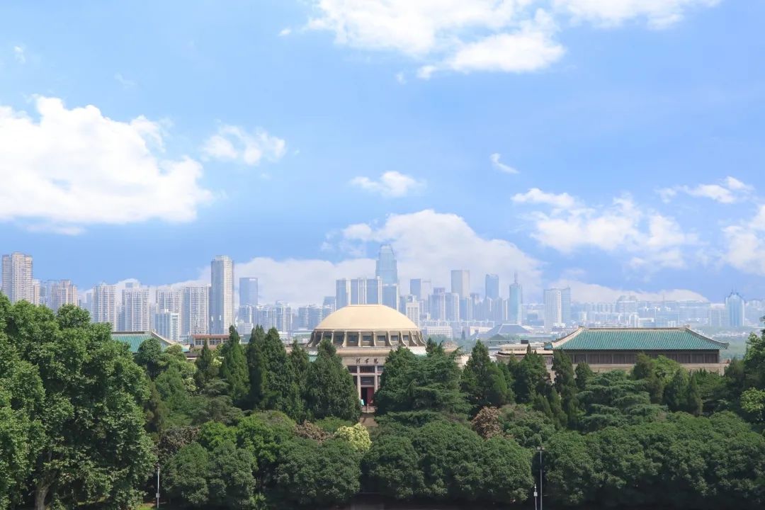 武汉大学强基地球科学,武汉大学强基计划2023 武汉大学强基地球科学,武汉大学强基计划2023