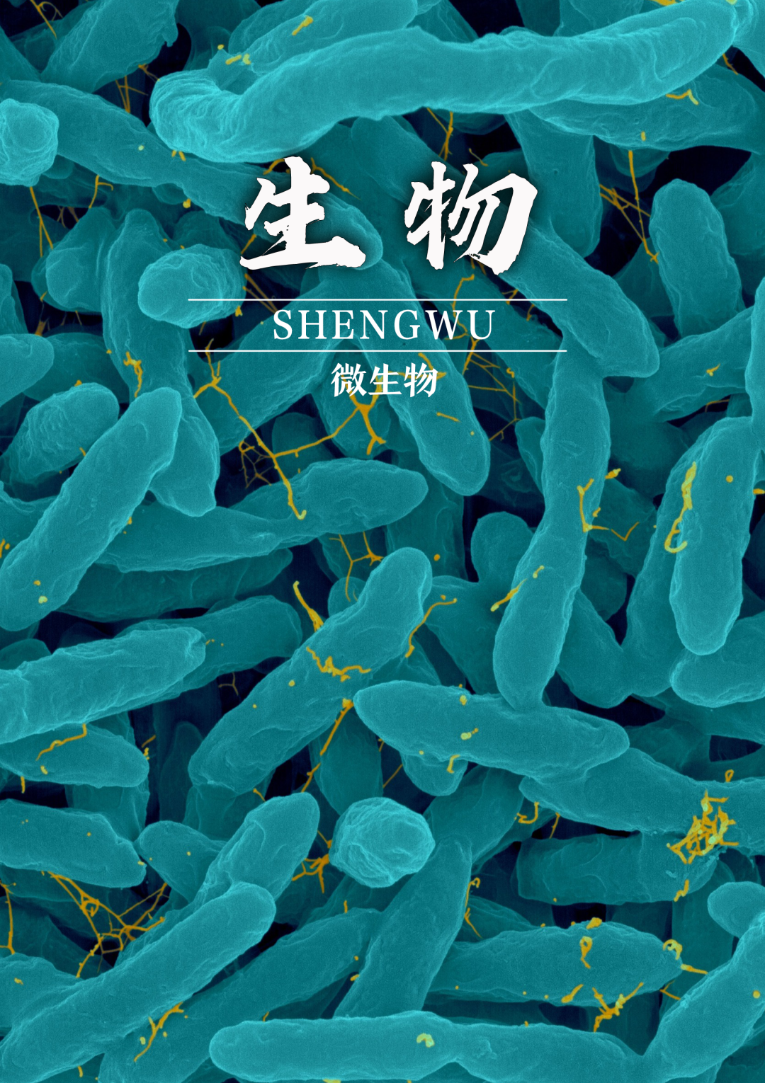 生命科学考博,生命科学博士最厉害三个专业
