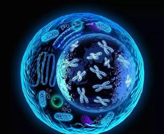 生命科学和宇宙,生命科学和宇宙科学区别