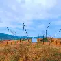 科廷大学天文科普,科廷大学最厉害三个专业 科廷大学天文科普,科廷大学最厉害三个专业