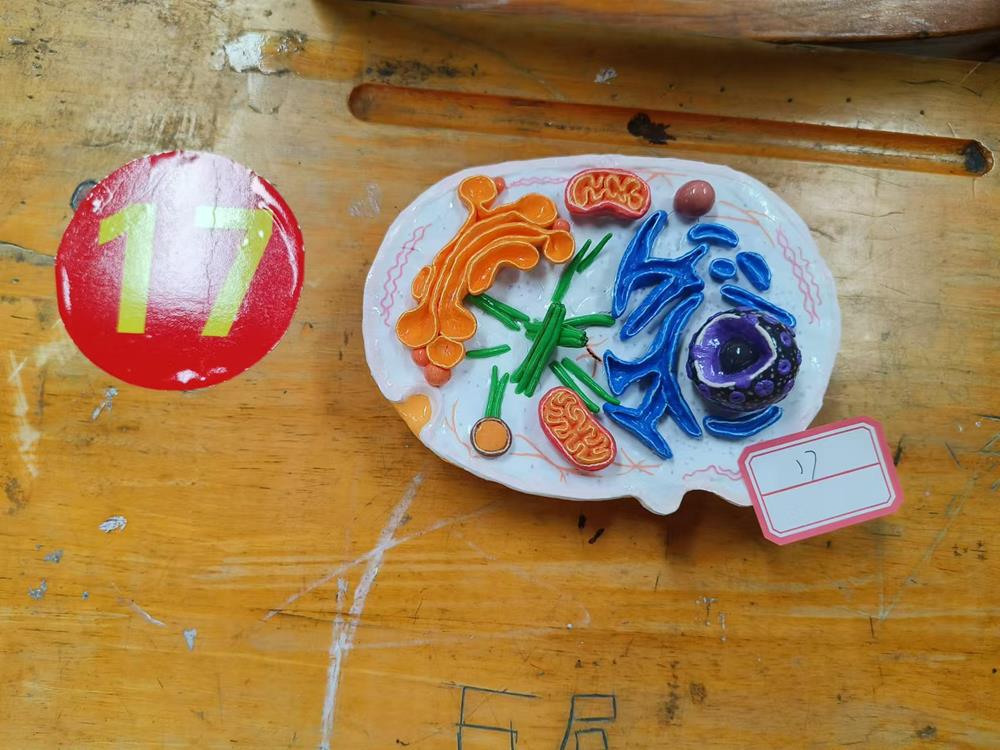 生命科学项链手工制作,生命科学项链手工制作图片 生命科学项链手工制作,生命科学项链手工制作图片