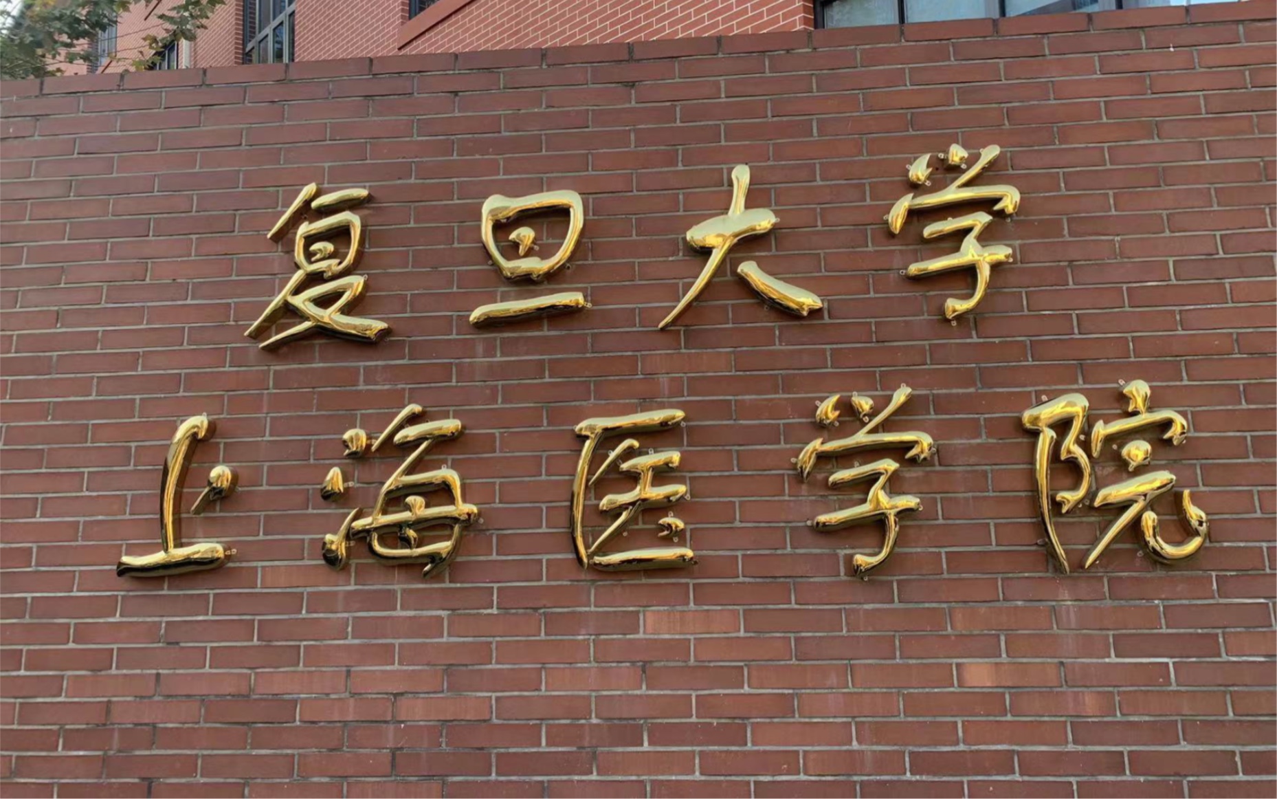 上海复旦生命科学,上海复旦生命科学院宋教授简介 上海复旦生命科学,上海复旦生命科学院宋教授简介