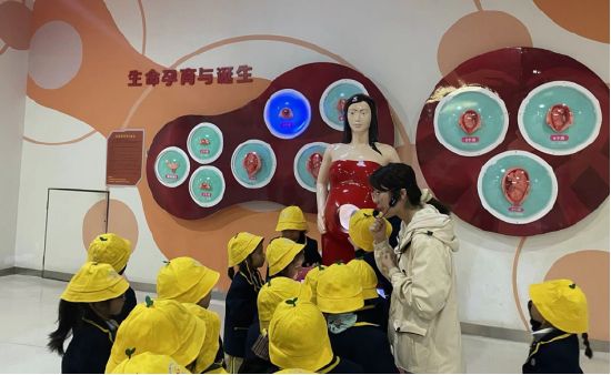 中班生命科学教育难点,中班生命科学教育难点是什么