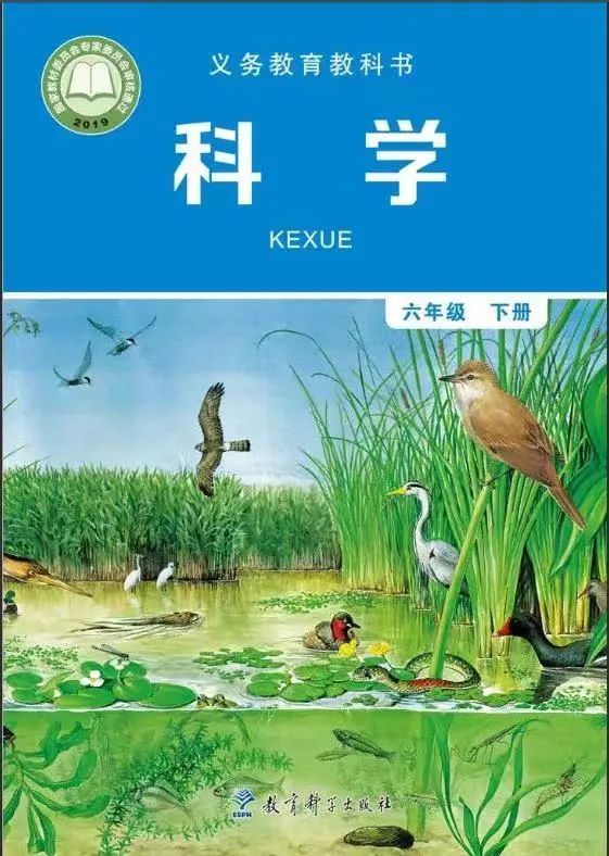 网课地球科学概论,地球科学概论免费下载