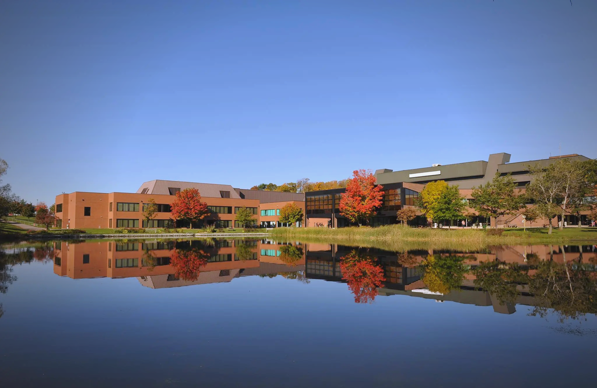 加拿大生命科学学院,加拿大生命科学学院排名
