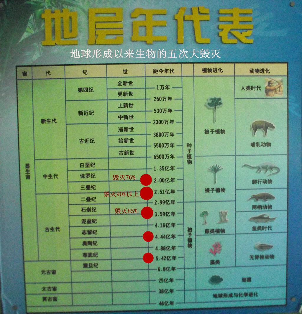 地球科学图鉴大全最新,地球科学概论电子书pdf