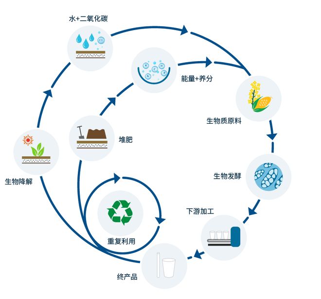 三个周期生命科学,生命科学中的三大组学
