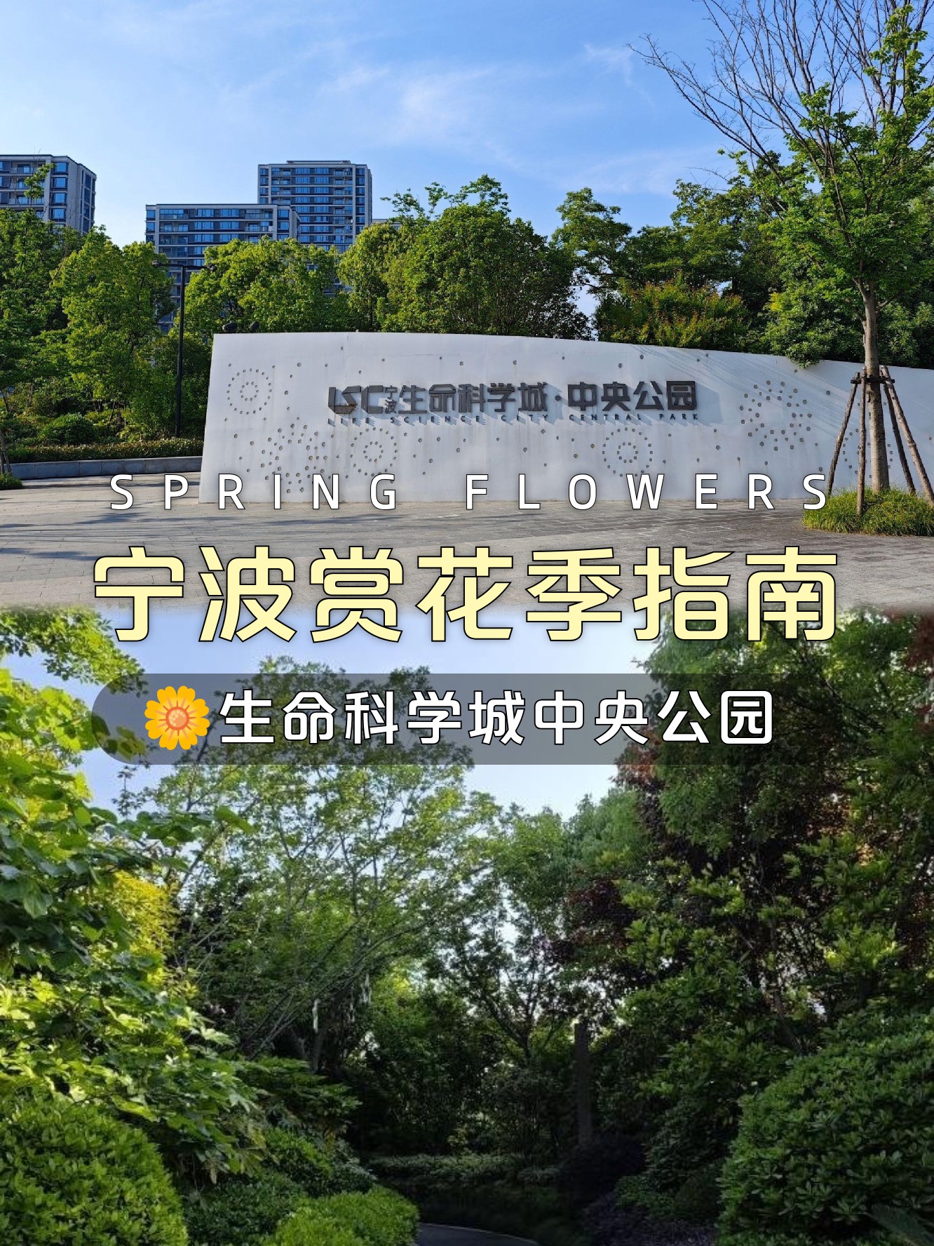 淄博生命科学城,淄博科学城烂尾了吗
