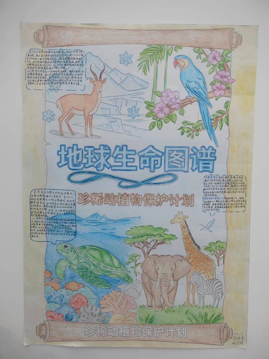 一年级生命科学作品,一年级科学小作品有哪些呢