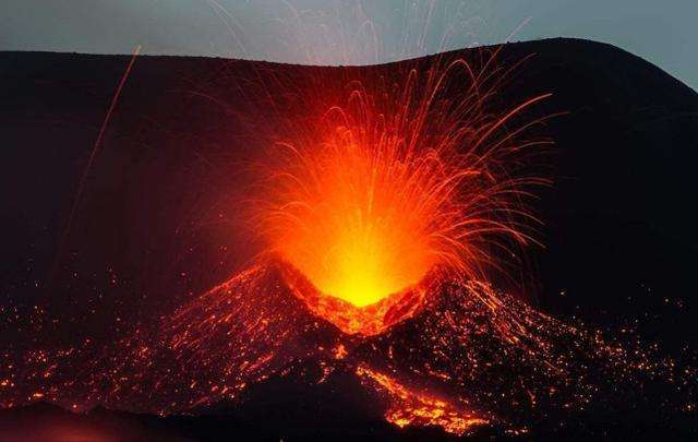 火山下的生命科学家,火山下的生命科学家是谁