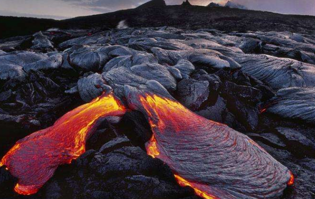 火山下的生命科学家,火山下的生命科学家是谁 火山下的生命科学家,火山下的生命科学家是谁