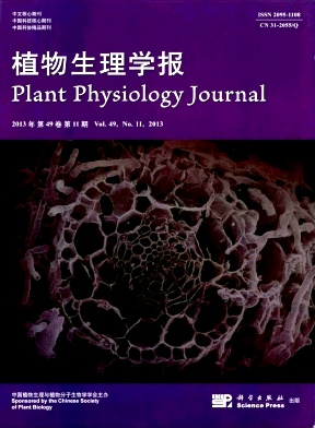 _上海生命科学卷,上海生命科学初中第二册思维导图