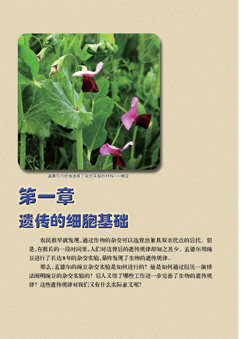 上教版生命科学,沪教版生物生命科学二册 上教版生命科学,沪教版生物生命科学二册