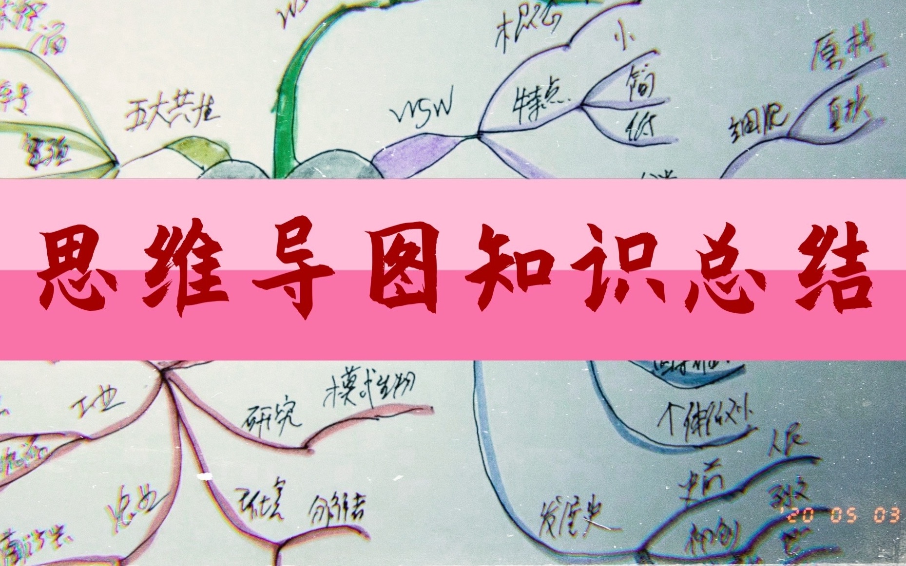 人类生命科学学科排名,人类生命科学学科排名第几