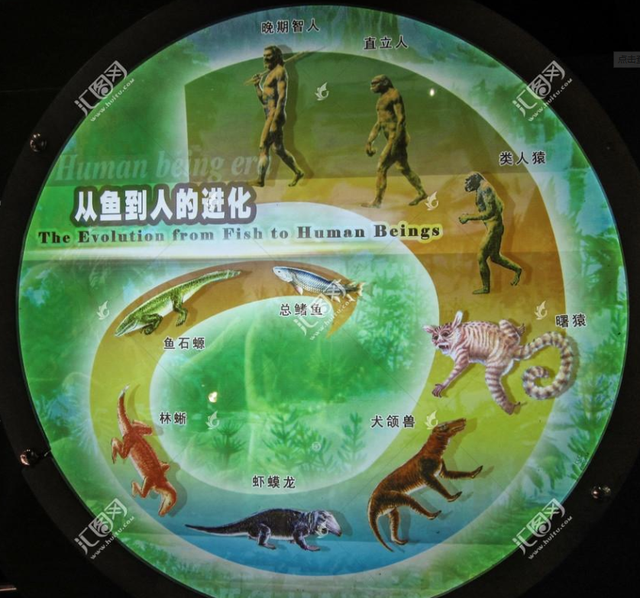 人类生命科学学科排名,人类生命科学学科排名第几 人类生命科学学科排名,人类生命科学学科排名第几