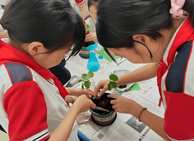 生命科学主题活动直播,生命科学与大健康专题活动在成都举行