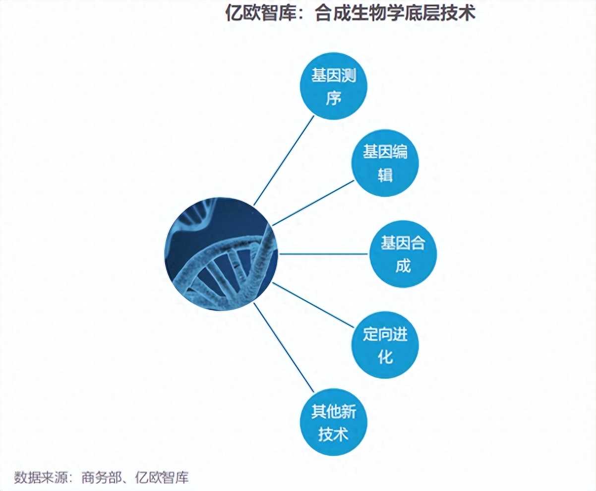 生命科学与网络,生命科学与健康工程