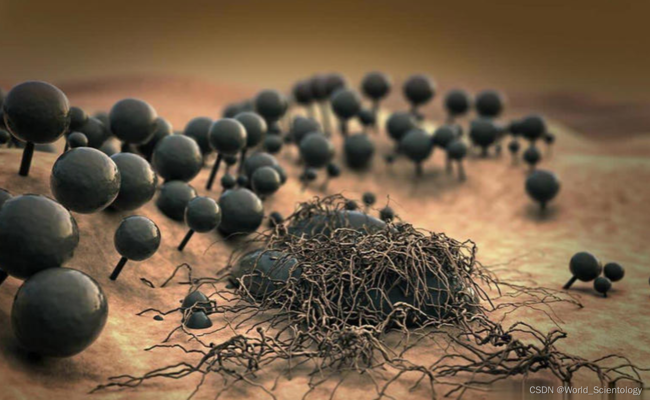 困扰世界的物理问题,困扰世界的物理问题有哪些